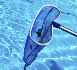 using a skimming net to get floating debris from pool